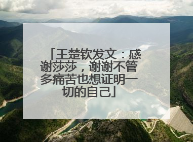 王楚钦发文：感谢莎莎，谢谢不管多痛苦也想证明一切的自己