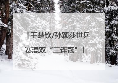 王楚钦/孙颖莎世乒赛混双“三连冠”
