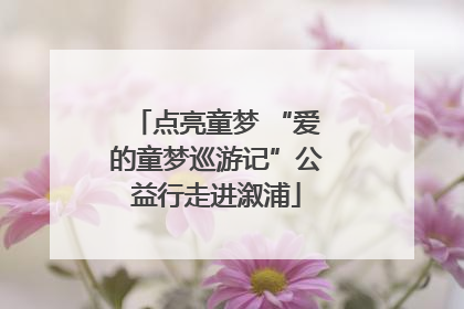 点亮童梦 “爱的童梦巡游记”公益行走进溆浦