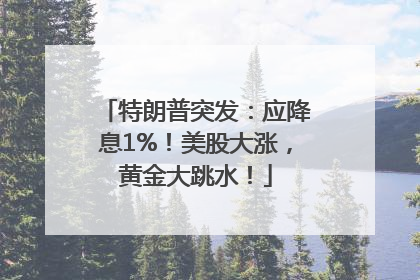特朗普突发：应降息1%！美股大涨，黄金大跳水！