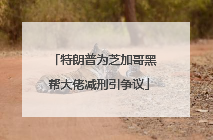 特朗普为芝加哥黑帮大佬减刑引争议