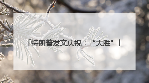 特朗普发文庆祝：“大胜”
