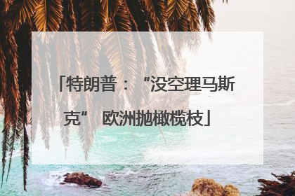 特朗普：“没空理马斯克” 欧洲抛橄榄枝