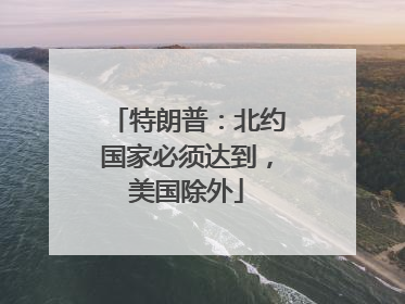 特朗普：北约国家必须达到，美国除外