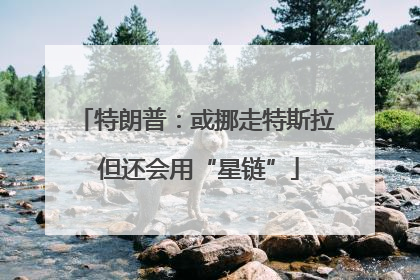 特朗普：或挪走特斯拉 但还会用“星链”