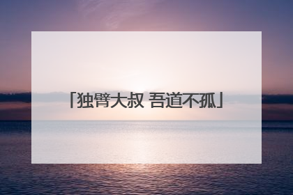 独臂大叔 吾道不孤
