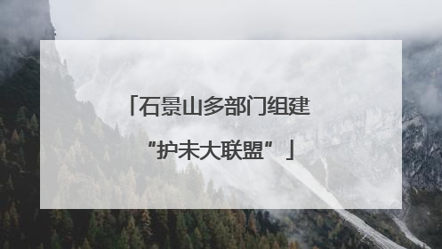 石景山多部门组建“护未大联盟”