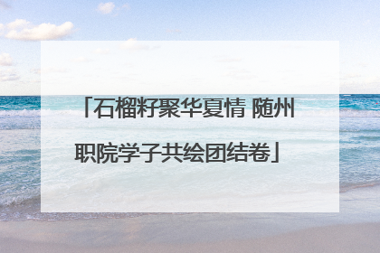 石榴籽聚华夏情 随州职院学子共绘团结卷