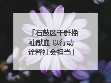 石鼓区干群挽袖献血 以行动诠释社会担当