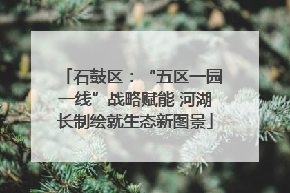 石鼓区：“五区一园一线”战略赋能 河湖长制绘就生态新图景