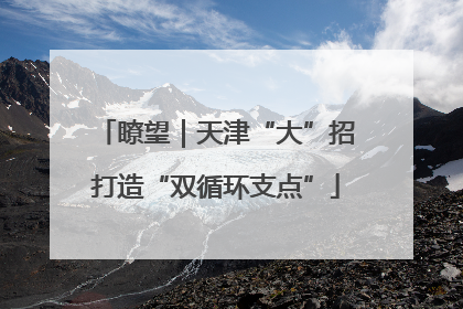 瞭望｜天津“大”招打造“双循环支点”