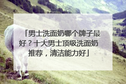 男士洗面奶哪个牌子最好？十大男士顶级洗面奶推荐，清洁能力好