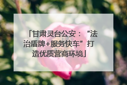 甘肃灵台公安：“法治盾牌+服务快车”打造优质营商环境