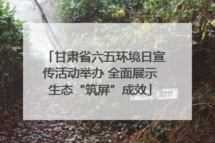 甘肃省六五环境日宣传活动举办 全面展示生态“筑屏”成效