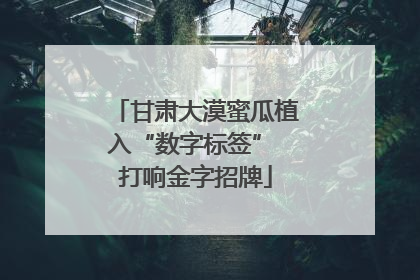 甘肃大漠蜜瓜植入“数字标签” 打响金字招牌