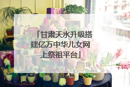 甘肃天水升级搭建亿万中华儿女网上祭祖平台