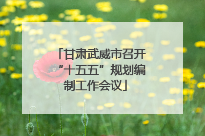 甘肃武威市召开“十五五”规划编制工作会议