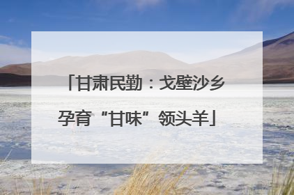 甘肃民勤：戈壁沙乡孕育“甘味”领头羊