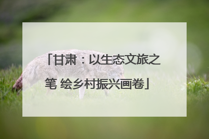 甘肃：以生态文旅之笔 绘乡村振兴画卷