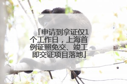 申请到拿证仅1个工作日，上海首例证照免交、竣工即交证项目落地