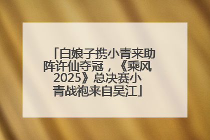 白娘子携小青来助阵许仙夺冠，《乘风2025》总决赛小青战袍来自吴江