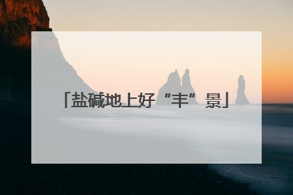盐碱地上好“丰”景