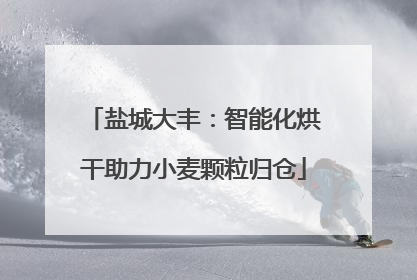 盐城大丰：智能化烘干助力小麦颗粒归仓