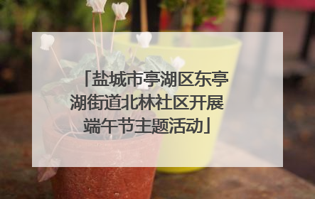 盐城市亭湖区东亭湖街道北林社区开展端午节主题活动