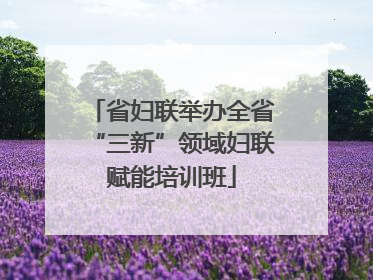 省妇联举办全省“三新”领域妇联赋能培训班