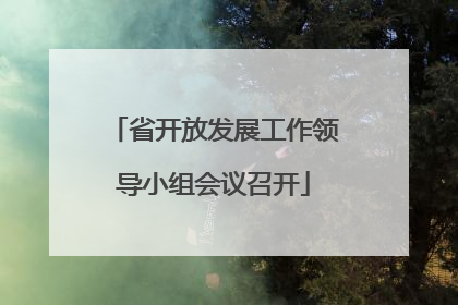 省开放发展工作领导小组会议召开