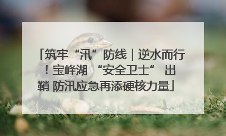 筑牢“汛”防线｜逆水而行！宝峰湖 “安全卫士” 出鞘 防汛应急再添硬核力量