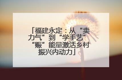 福建永定：从“卖力气”到“学手艺”“赈”能量激活乡村振兴内动力