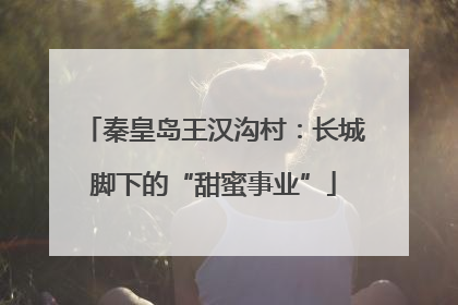 秦皇岛王汉沟村：长城脚下的“甜蜜事业”