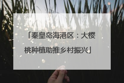秦皇岛海港区：大樱桃种植助推乡村振兴