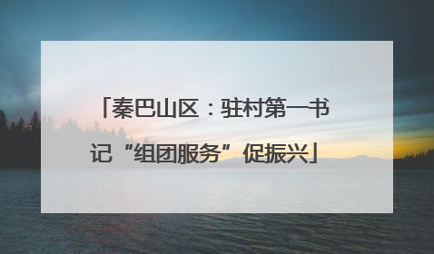 秦巴山区：驻村第一书记“组团服务”促振兴