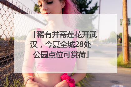 稀有并蒂莲花开武汉，今夏全城28处公园点位可赏荷
