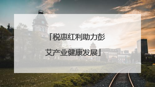 税惠红利助力彭艾产业健康发展