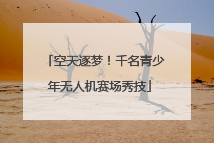 空天逐梦！千名青少年无人机赛场秀技
