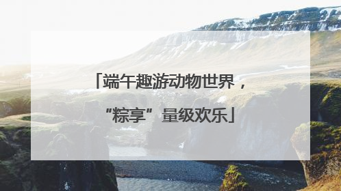 端午趣游动物世界，“粽享”量级欢乐