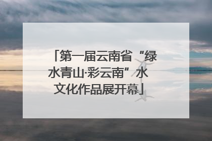 第一届云南省“绿水青山·彩云南”水文化作品展开幕