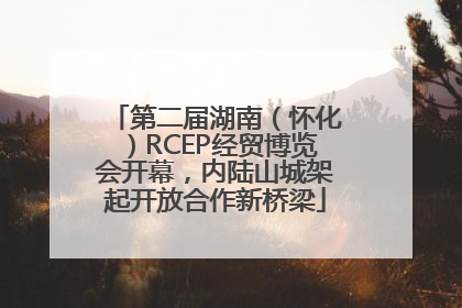 第二届湖南（怀化）RCEP经贸博览会开幕，内陆山城架起开放合作新桥梁