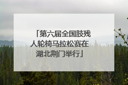 第六届全国肢残人轮椅马拉松赛在湖北荆门举行