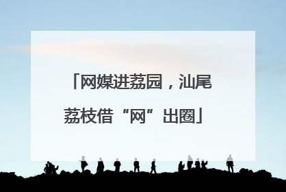 网媒进荔园，汕尾荔枝借“网”出圈