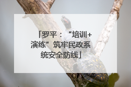 罗平：“培训+演练”筑牢民政系统安全防线