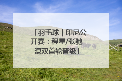 羽毛球｜印尼公开赛：程星/张驰混双首轮晋级