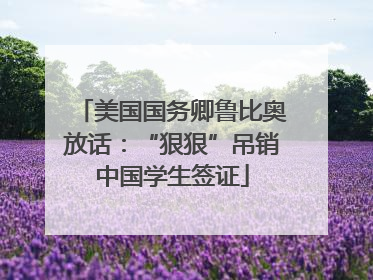 美国国务卿鲁比奥放话：“狠狠”吊销中国学生签证