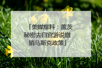 美媒爆料：盖茨秘密去白宫游说撤销马斯克政策