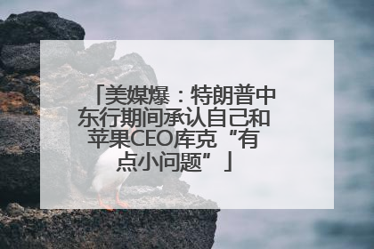 美媒爆：特朗普中东行期间承认自己和苹果CEO库克“有点小问题”