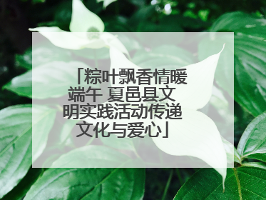 粽叶飘香情暖端午 夏邑县文明实践活动传递文化与爱心
