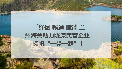 纾困 畅通 赋能 兰州海关助力陇原民营企业扬帆“一带一路”